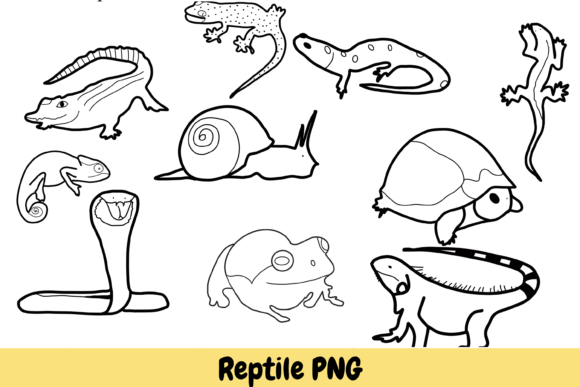 Download Reptile Animal Hand Drawn PNG - Png Collection