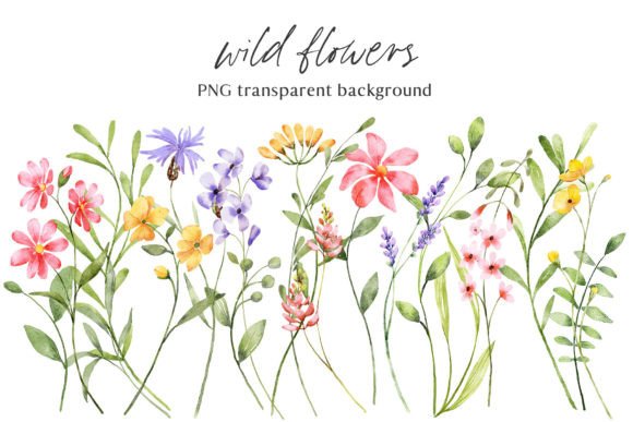 Download Wild Flowers, Watercolor Clipart, PNG - Png Collection
