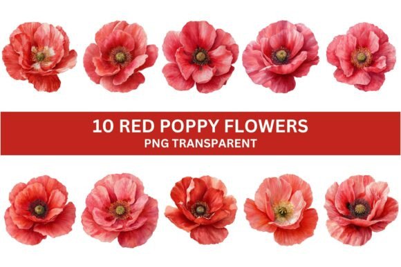 Download 10 Vibrant Red Poppy Flower PNG Set - Png Collection