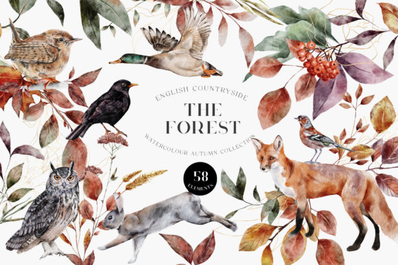 Download Autumn Forest Animals Watercolor PNG - Png Collection