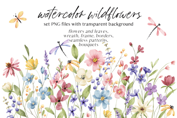 Download Watercolor wild Flowers set, PNG files. - Png Collection